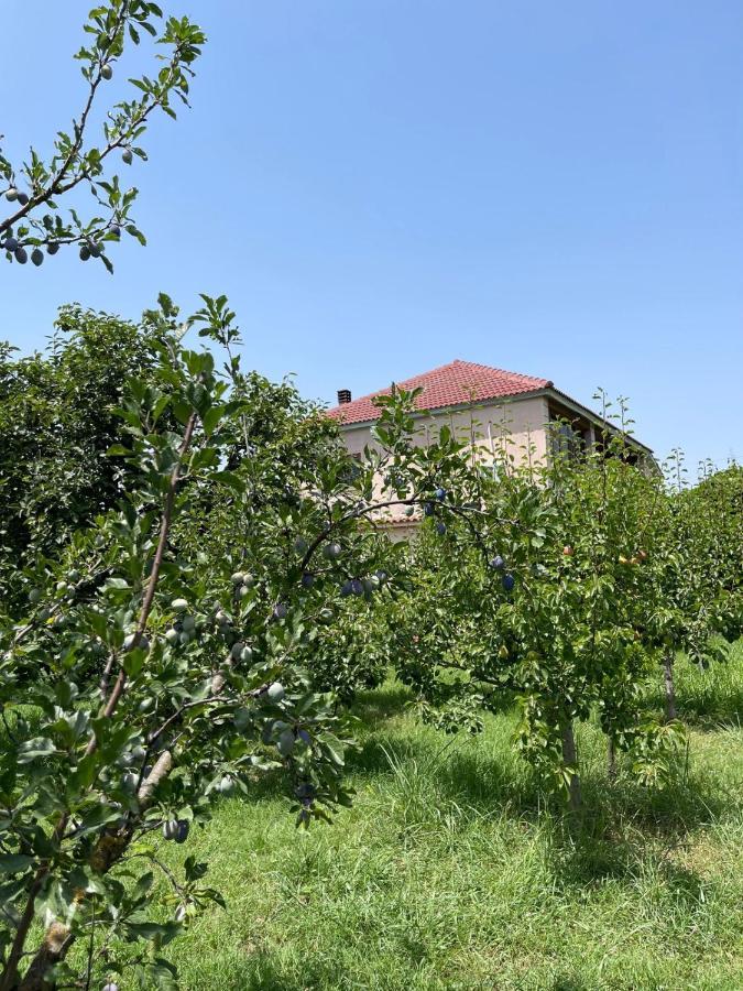 Villa Mance Berat Buitenkant foto