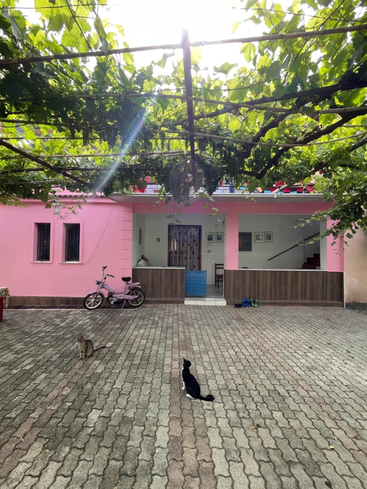 Villa Mance Berat Buitenkant foto