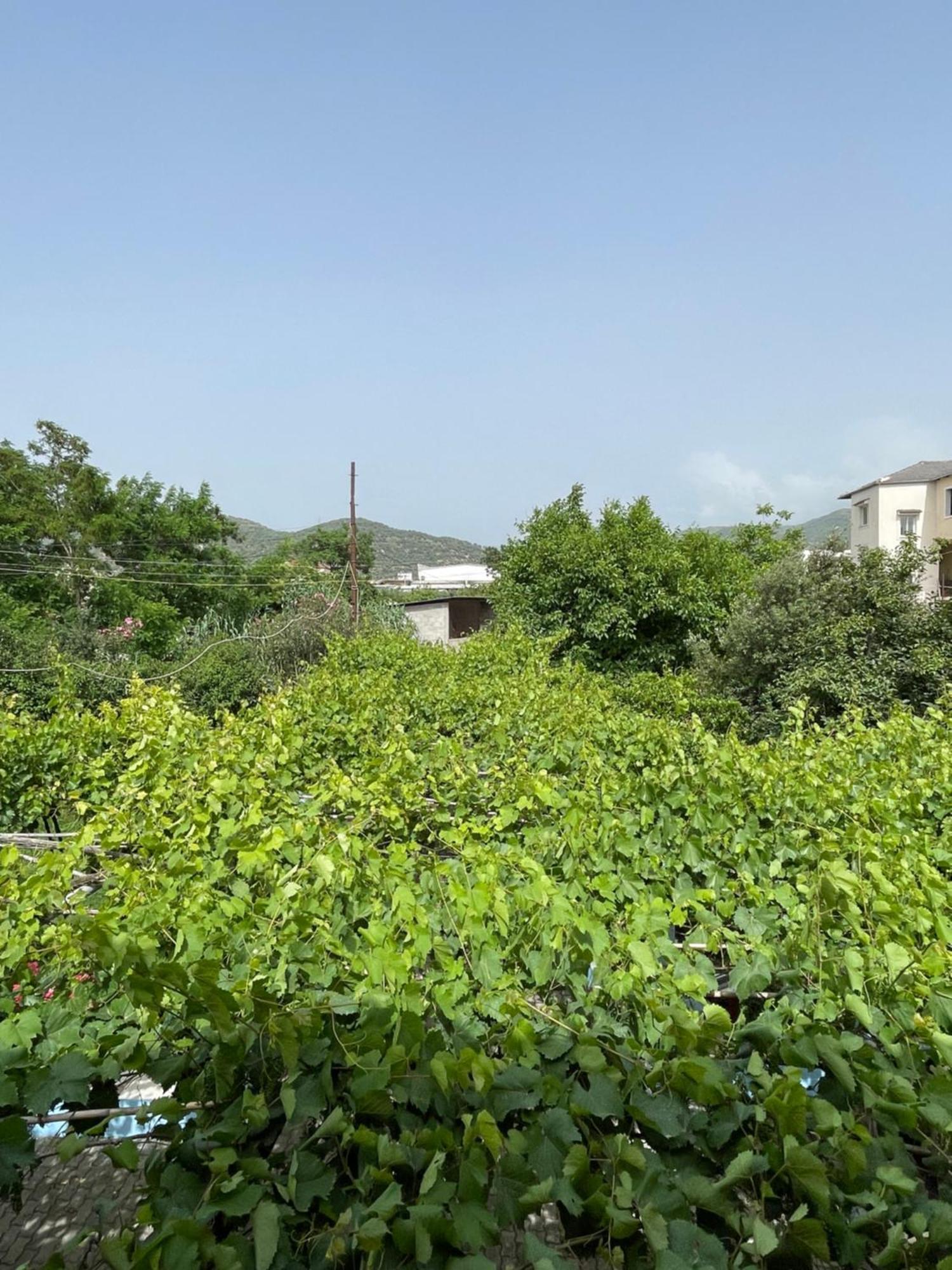 Villa Mance Berat Buitenkant foto